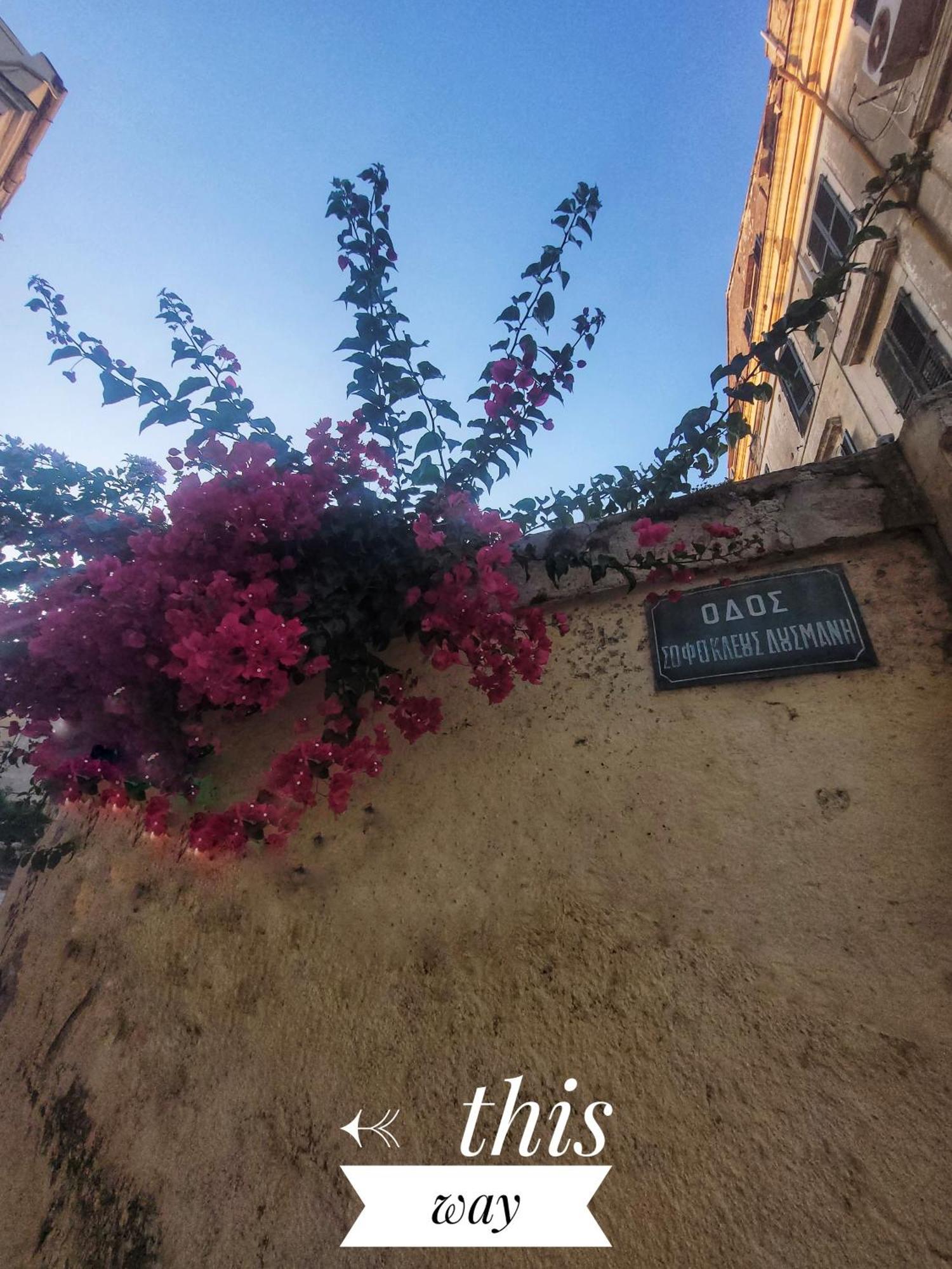 Nenas Volto Apartment Corfu  ภายนอก รูปภาพ